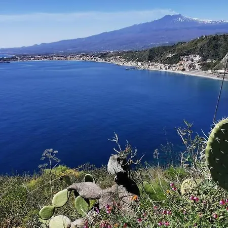 Stella Di Mare *